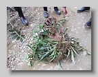 DSCF4894